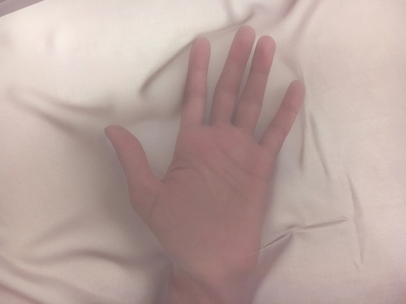 Japanese Polyester Chiffon in Taupe2