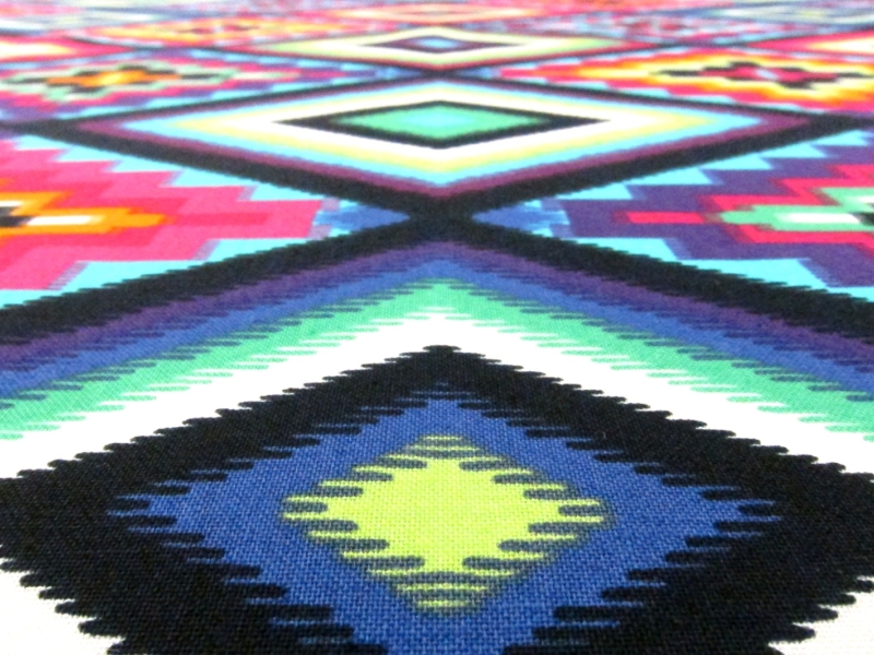 Cotton Broadcloth Print2