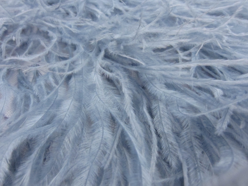 Ostrich Feather Trimmed Illusion2