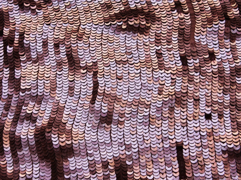 Sequins on Silk Chiffon1