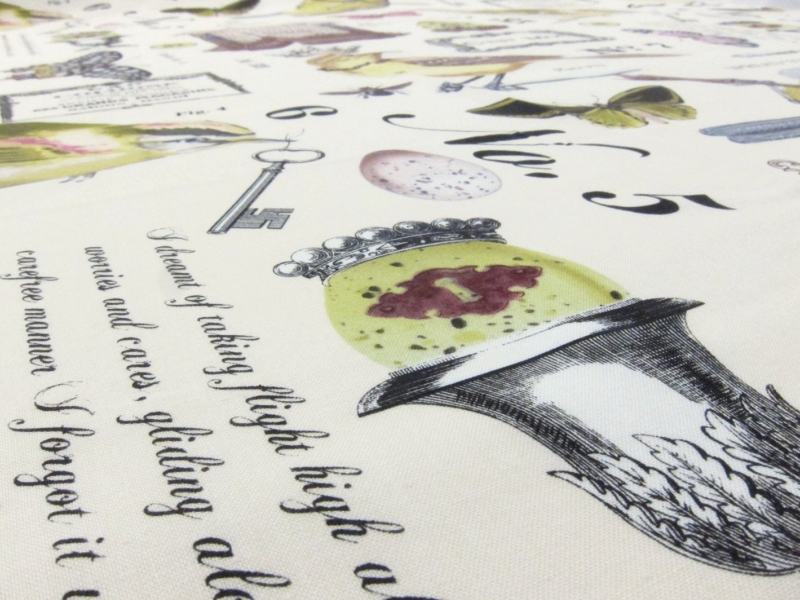 Cotton Broadcloth Print2