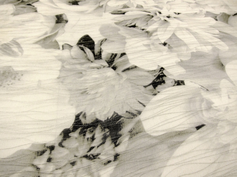 Silk Blend Metallic Double Layer Printed Organza2