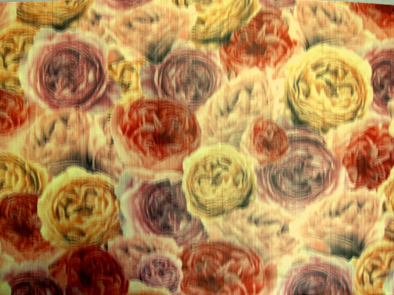  Warp Printed Iridescent Taffeta0