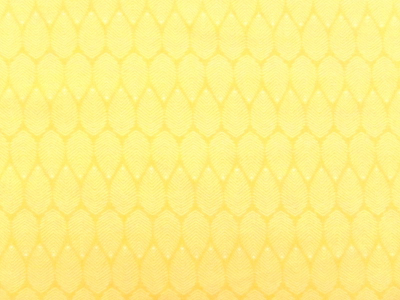 Cotton Broadcloth Print0