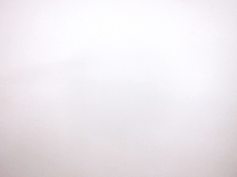 Stretch Faux Leather in White0