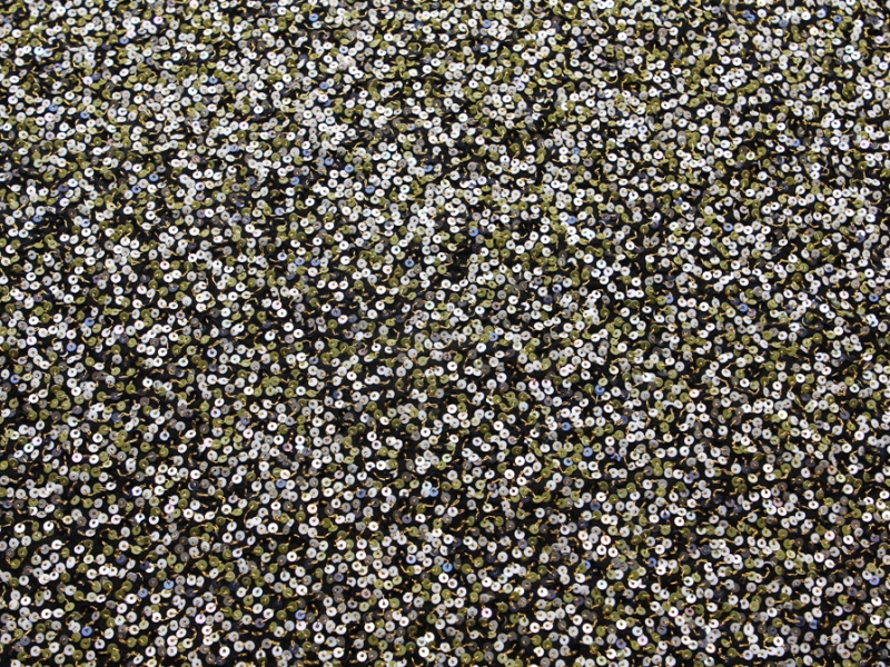 Sequins on Silk Chiffon0