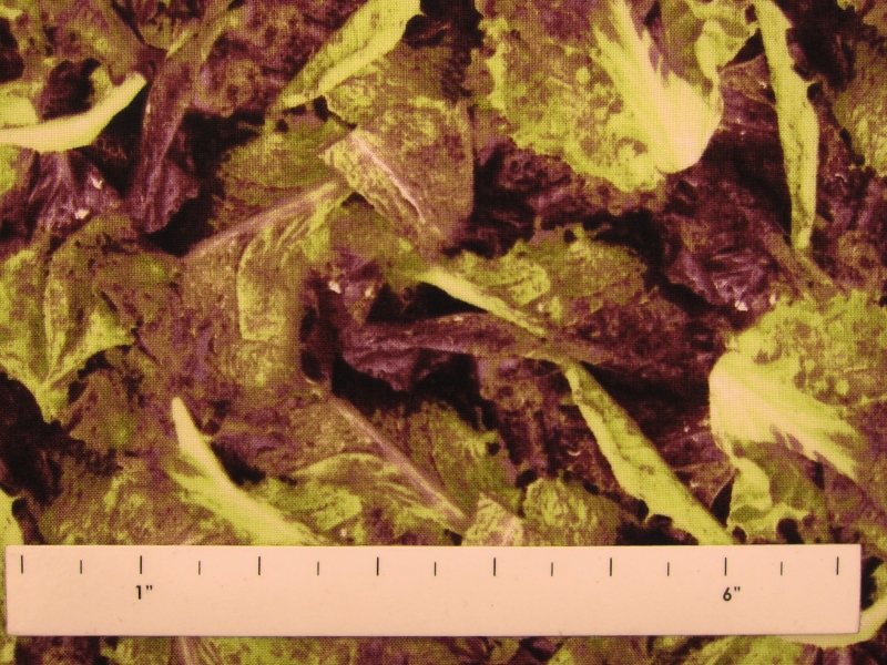 Cotton Broadcloth Print1