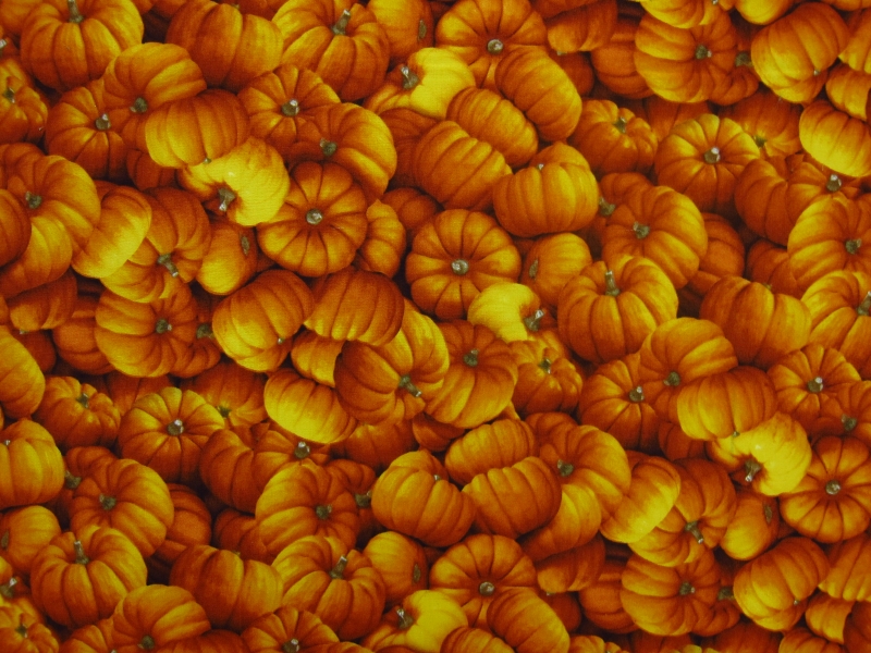 Cotton Broadcloth Print0