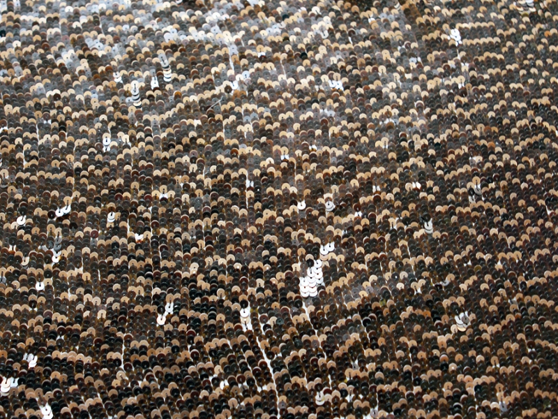 Sequins on Silk Chiffon0