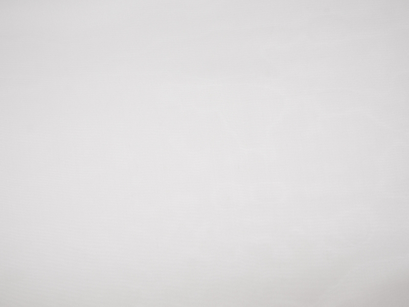 Solid organza in White flat