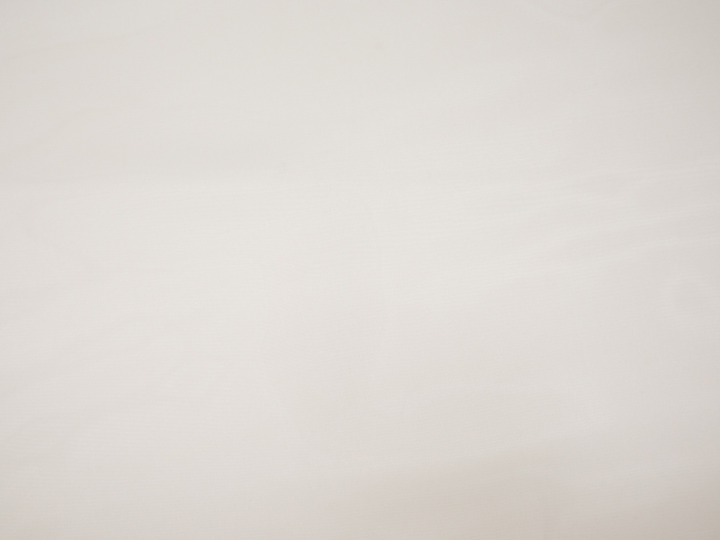 Silk organza in ivory flat