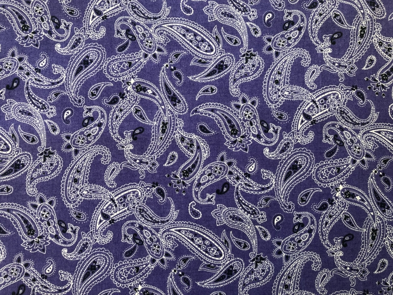 Paisley 1