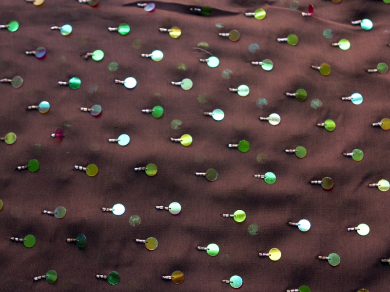 Paillettes on Silk Chiffon0