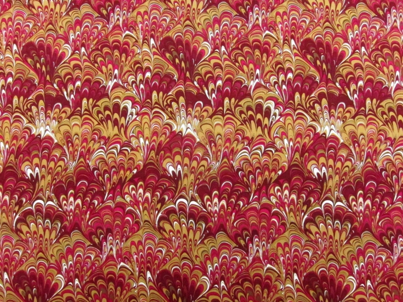 Printed Silk Charmeuse0