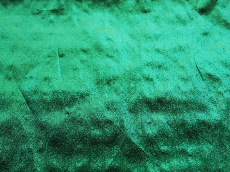 Tissue Lamé in Green0
