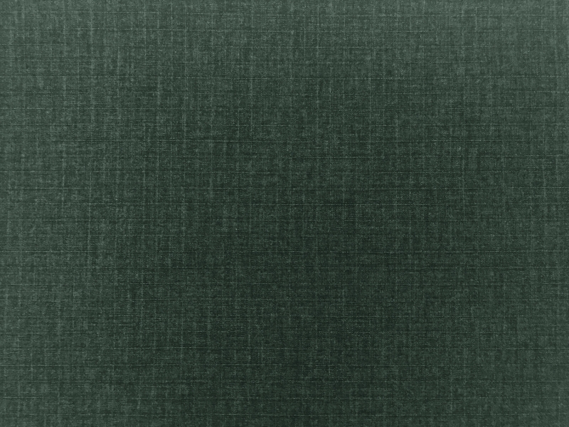 Cotton Ripstop In Jungle Green0