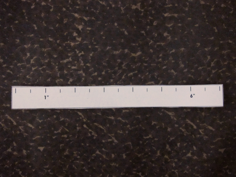 Printed Silk Chiffon 2