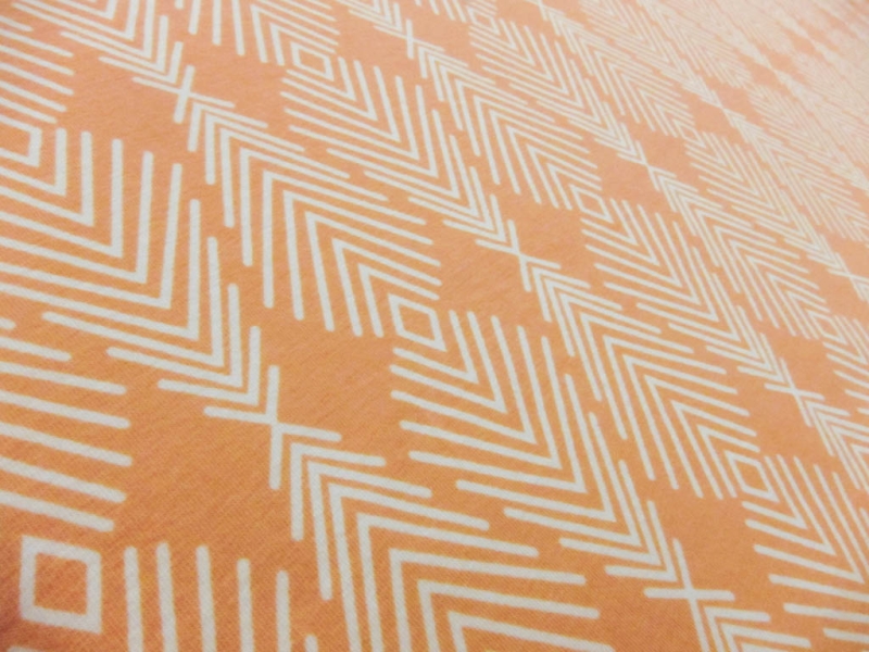 Cotton Lycra Jersey Print2