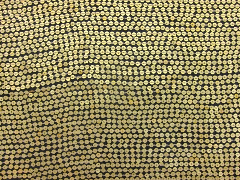 Sequins on Silk Chiffon0