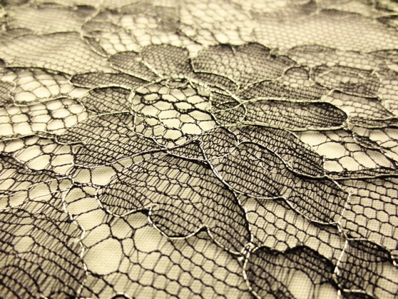 Metallic Chantilly Lace2