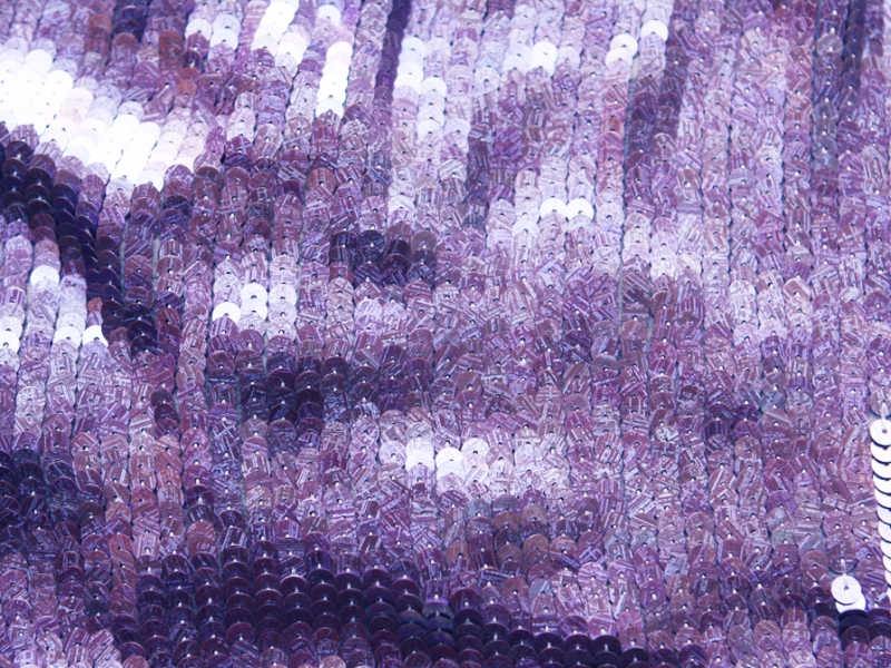 Sequins on Silk Chiffon1