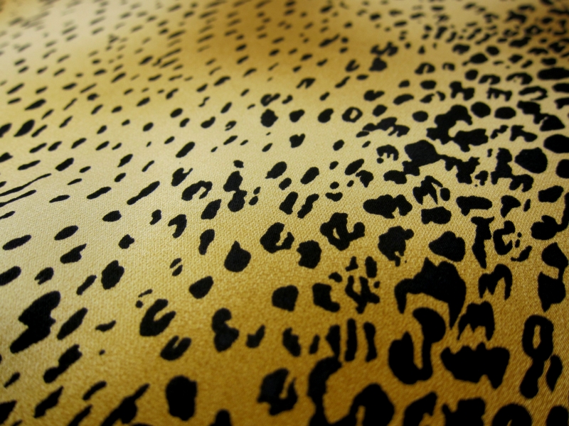 Printed Silk Charmeuse2