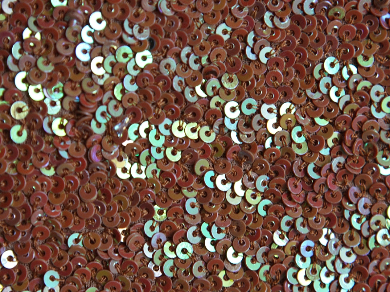 Sequins on Silk Chiffon2