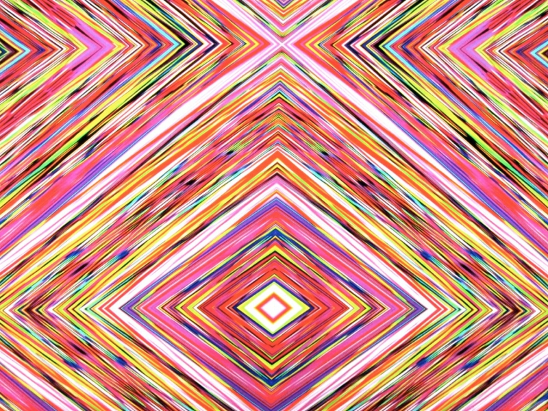 Printed Silk Charmeuse0