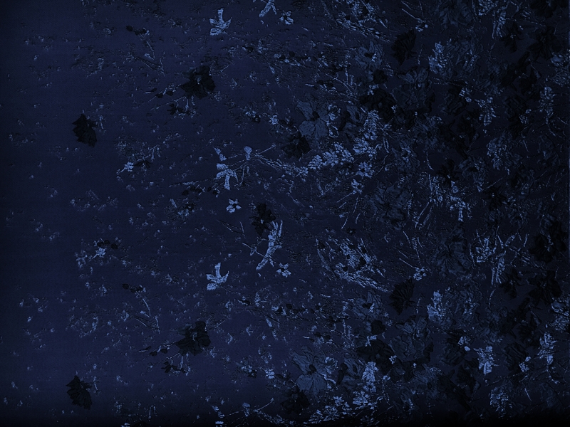 Polyester Twill with Metallic Abstract Floral Border0