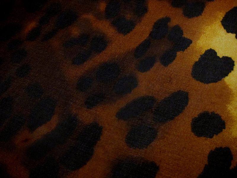 Printed Silk Chiffon2