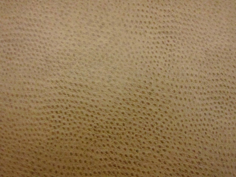 Ostrich Faux Leather in Taupe0