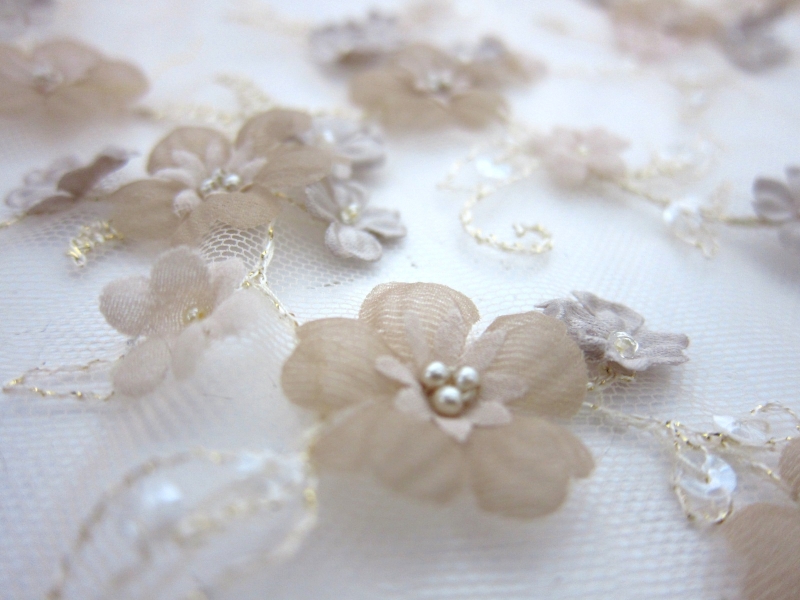 Beaded Illusion with Appliqué2