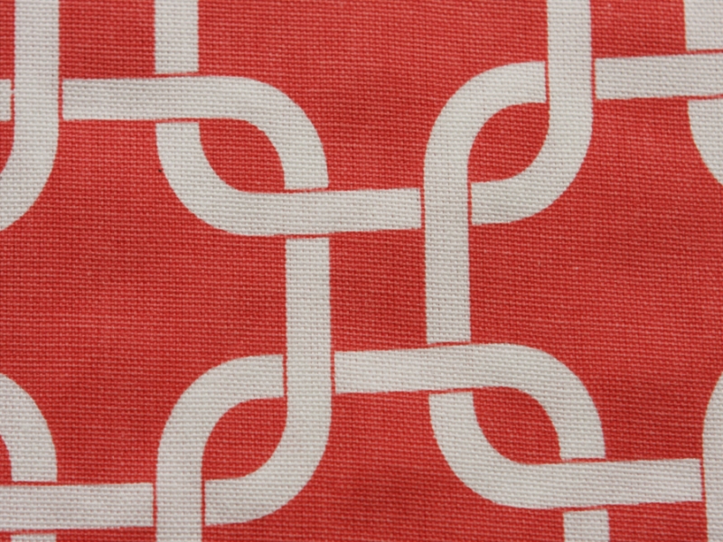 Printed Cotton Canvas2