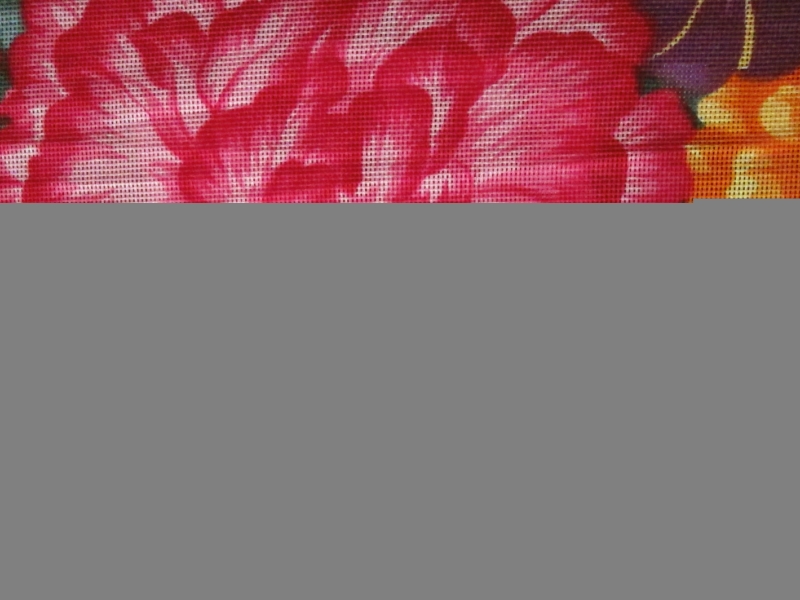 Silk and Cotton Mesh Gazar0