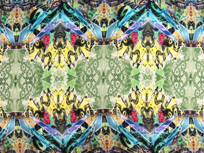 Printed Silk Charmeuse0