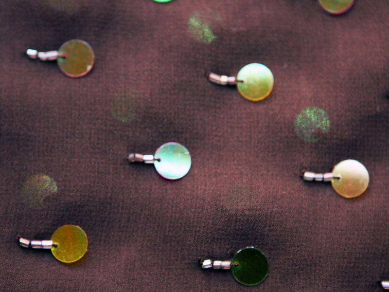 Paillettes on Silk Chiffon2
