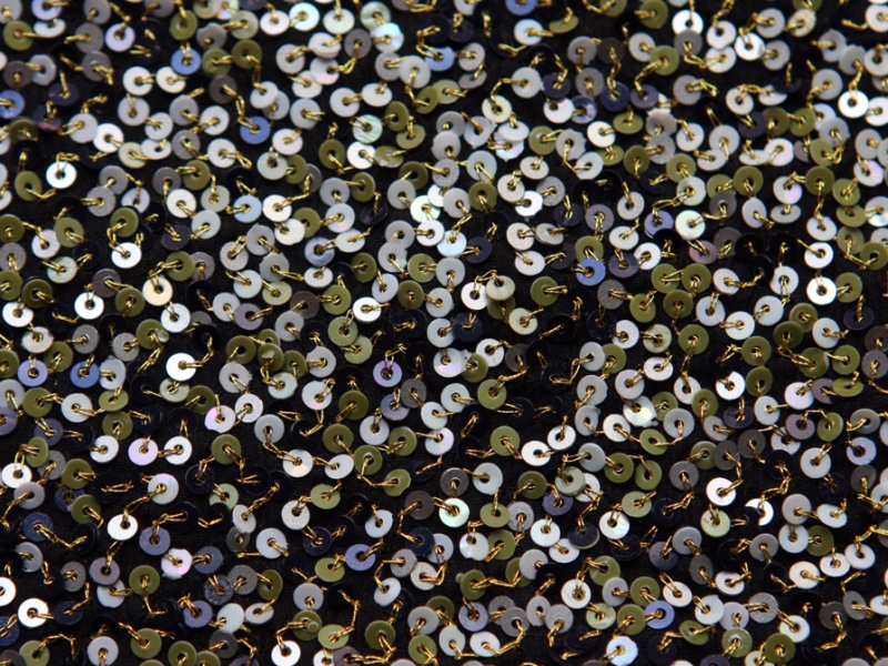 Sequins on Silk Chiffon2