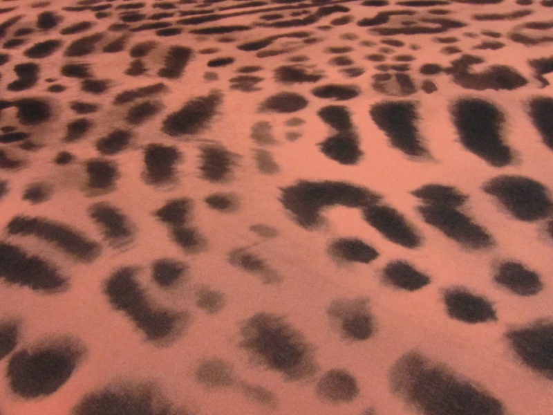 Printed Silk Chiffon2