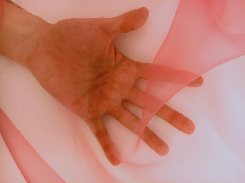 Japanese Polyester Extra Fine Organza in Flamingo1