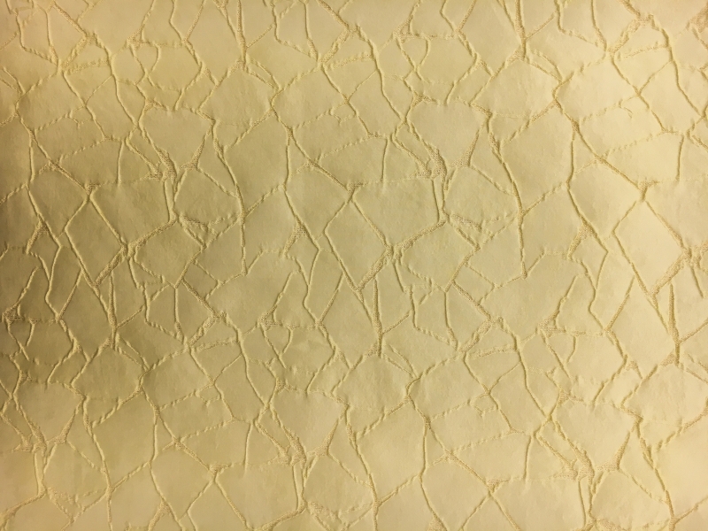 Silk and Polyester Blend Metallic Cloqué Brocade with Cracked Texture0