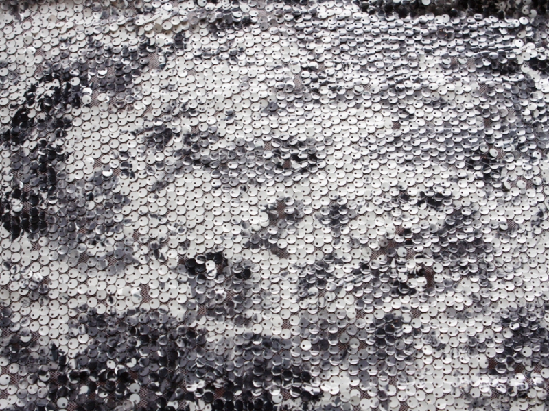 Novelty Printed Sequins on Tulle0