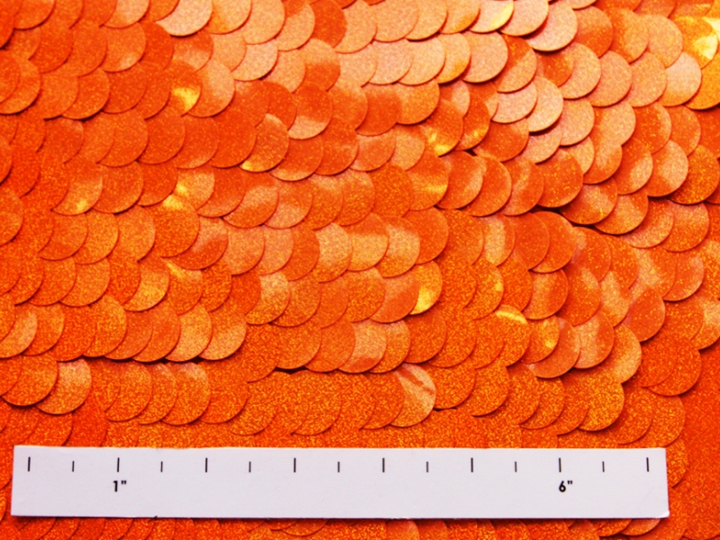 Pailettes on Silk Chiffon1