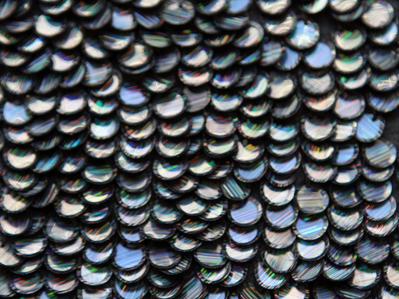 Paillettes on Silk Chiffon3