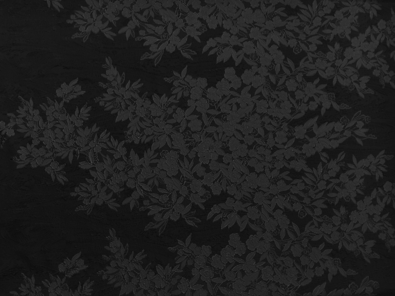 Silk Blend Metallic Cloqué Panel with Large Florals and Abstract Swirls0