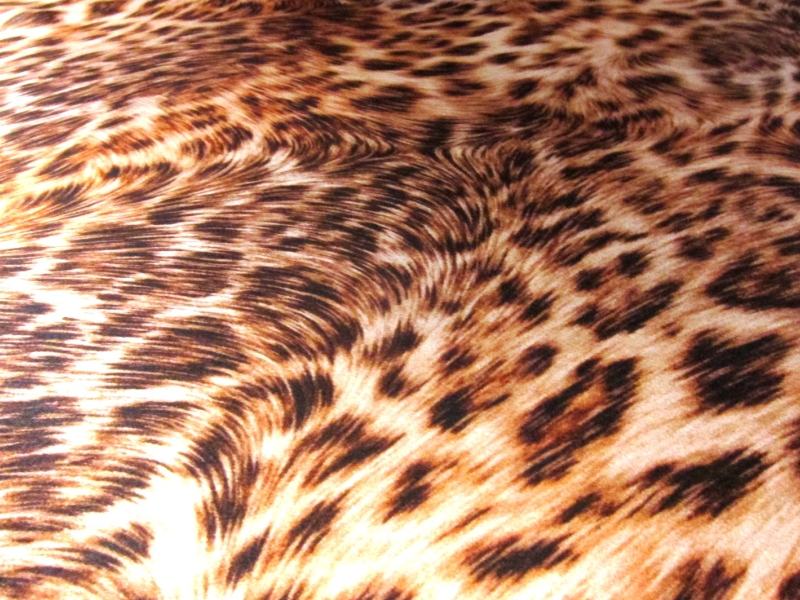 Printed Silk Charmeuse2