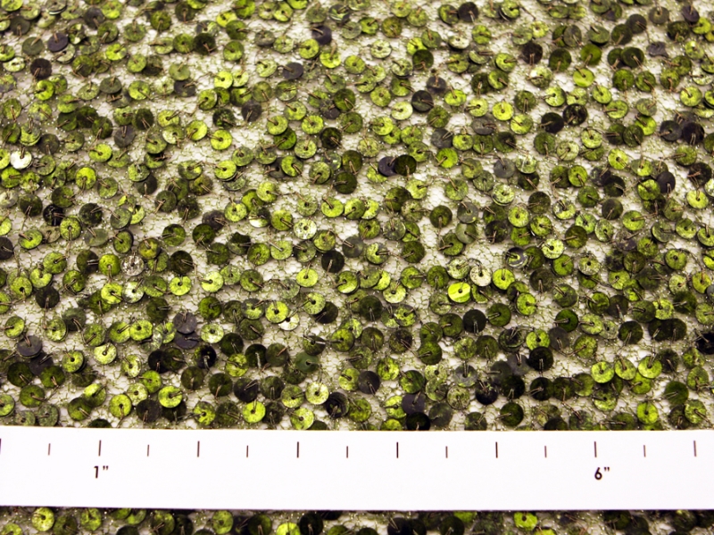 Sequins on Metallic Tulle1