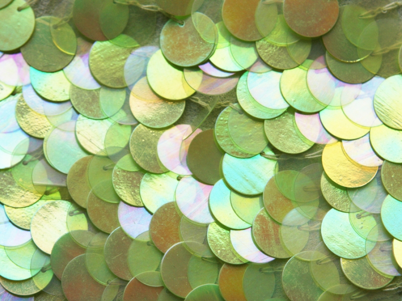 Paillettes on Silk Chiffon1