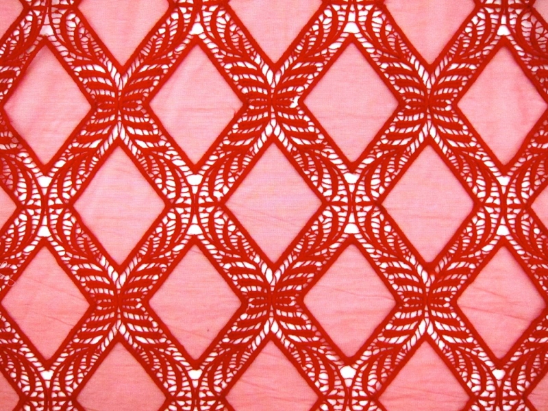 Novelty Embroidered Cut Out Tulle0