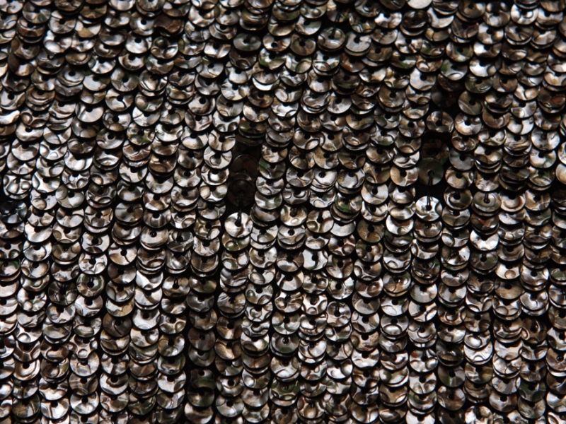 Sequins on Silk Chiffon2