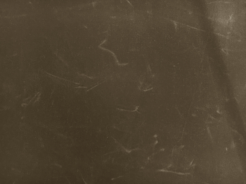 Cotton Wax Cloth in Olive1